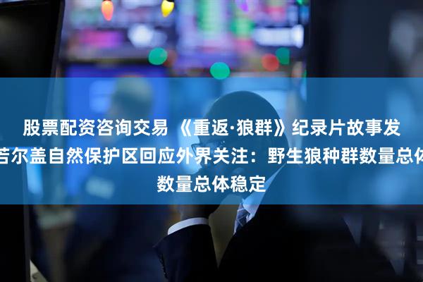 股票配资咨询交易 《重返·狼群》纪录片故事发生地若尔盖自然保护区回应外界关注：野生狼种群数量总体稳定