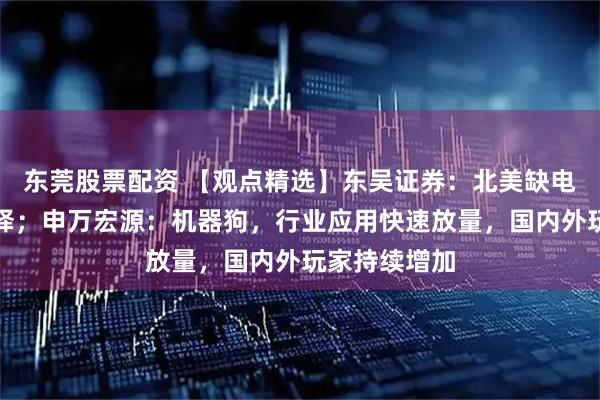 东莞股票配资 【观点精选】东吴证券：北美缺电逻辑持续演绎；申万宏源：机器狗，行业应用快速放量，国内外玩家持续增加